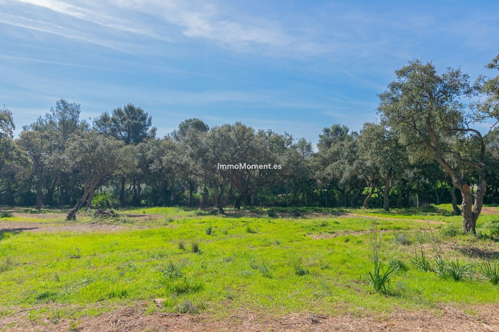 Neubau - Grundstück - Sotogrande - Sotogrande Alto