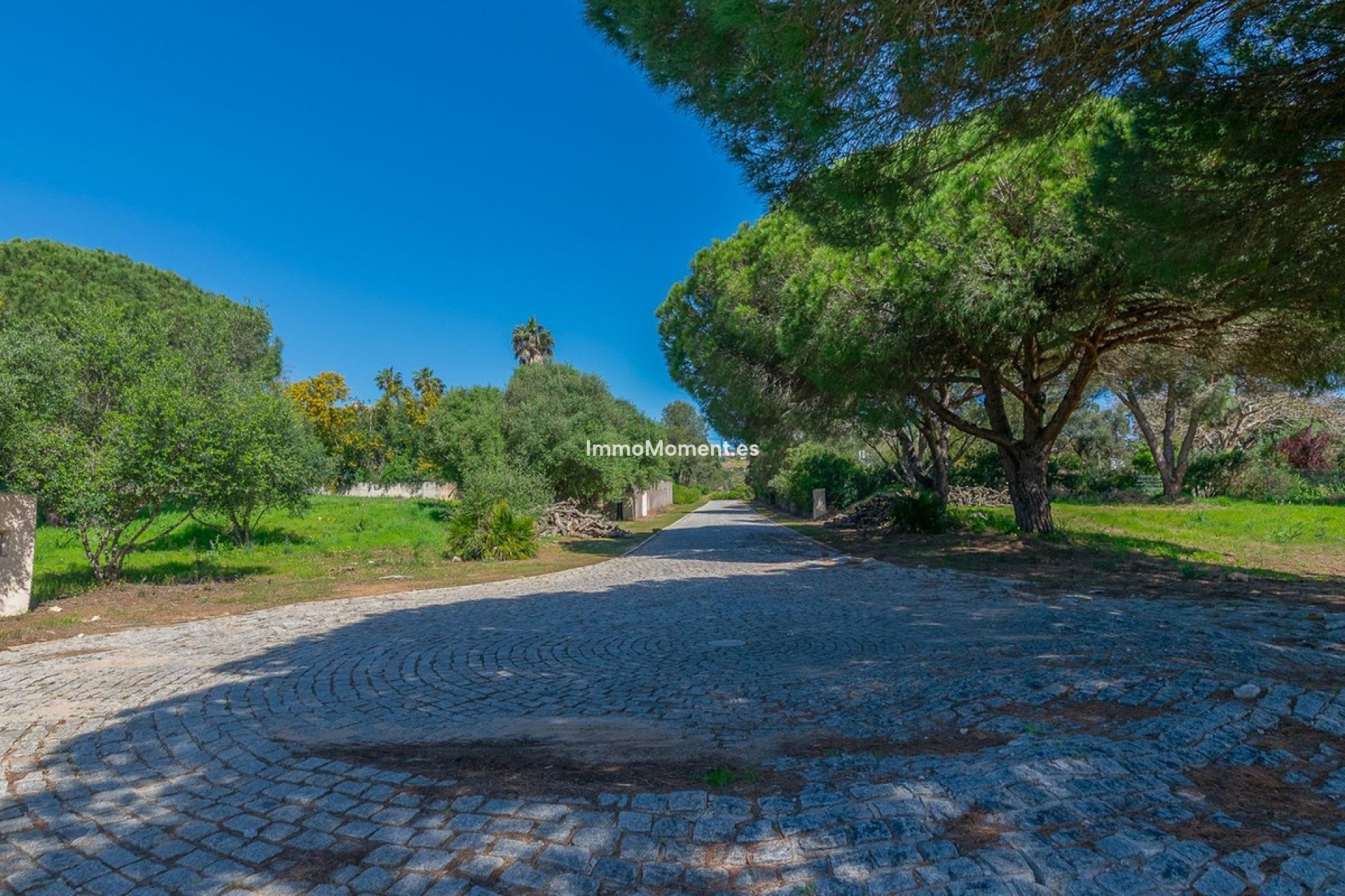 Neubau - Grundstück - Sotogrande - Sotogrande Alto