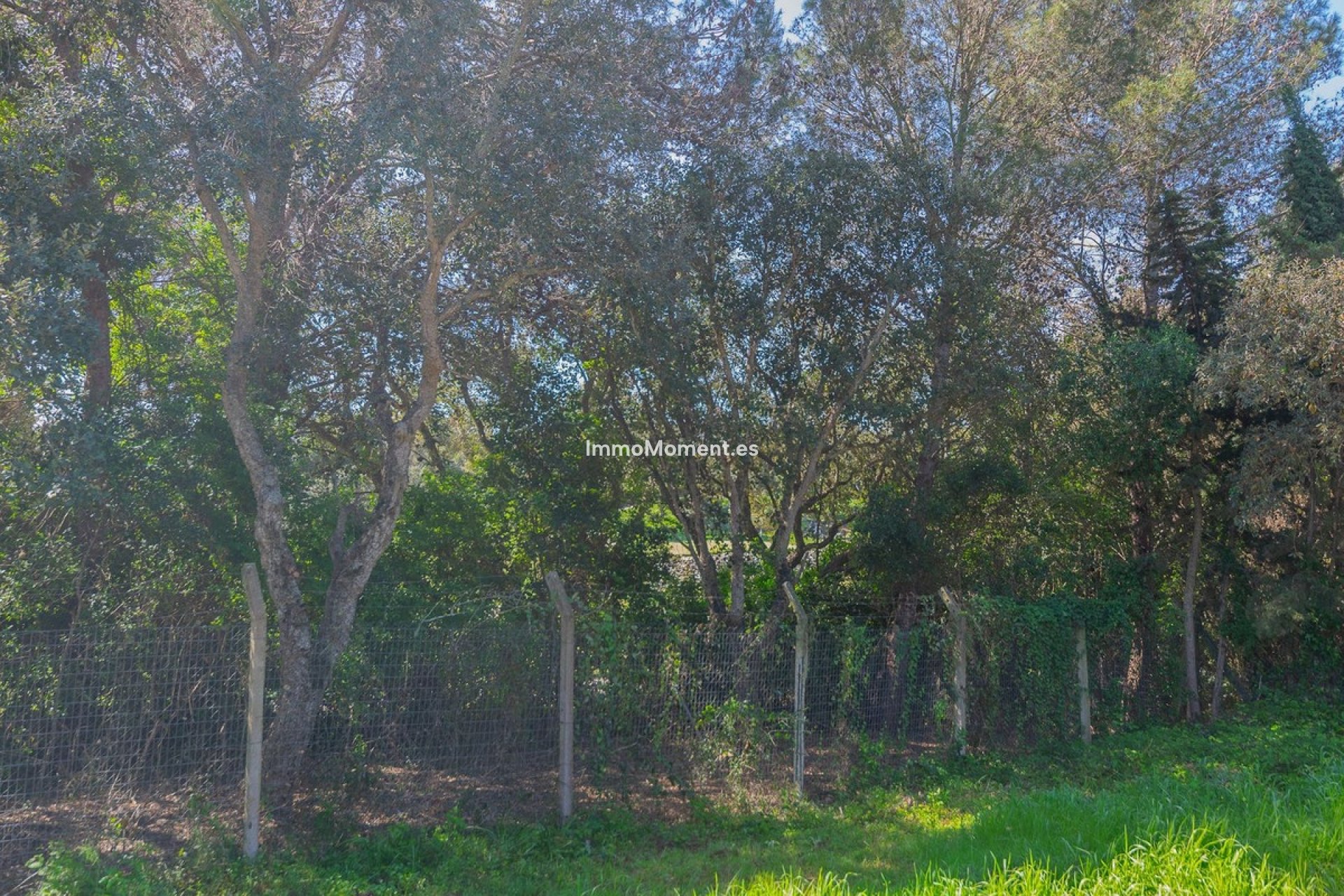 Neubau - Grundstück - Sotogrande - Sotogrande Alto