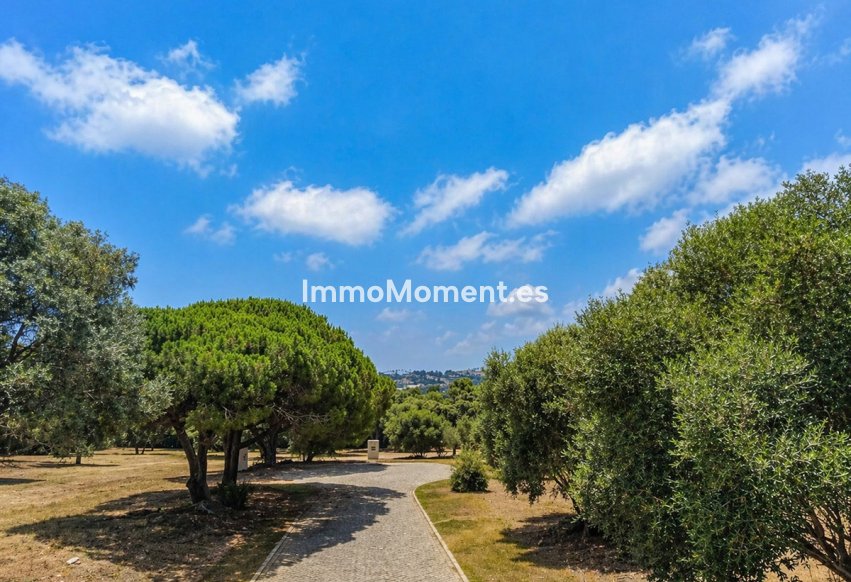 Neubau - Land - Sotogrande - Sotogrande Alto