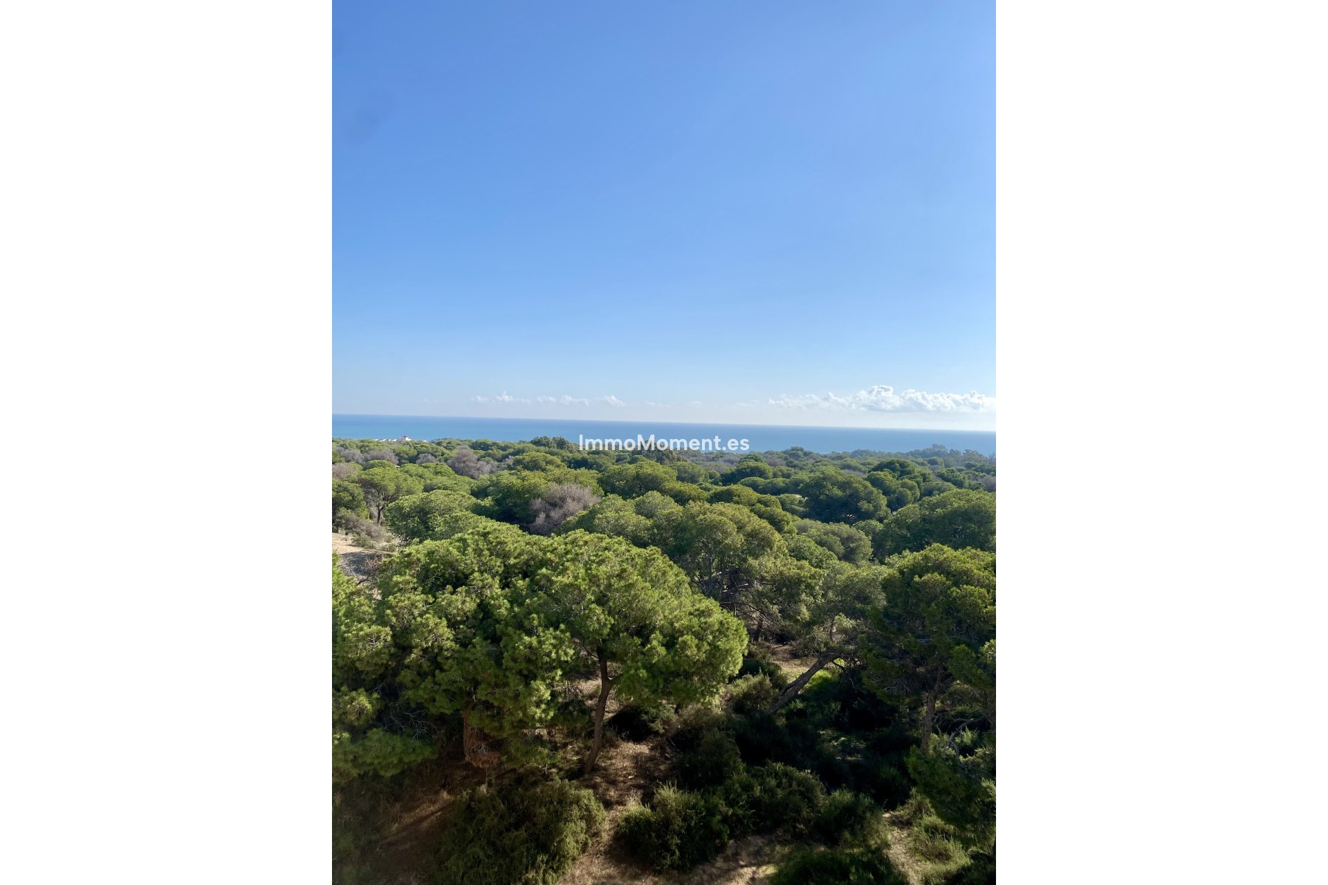 Neubau - Penthouse - Guardamar del Segura