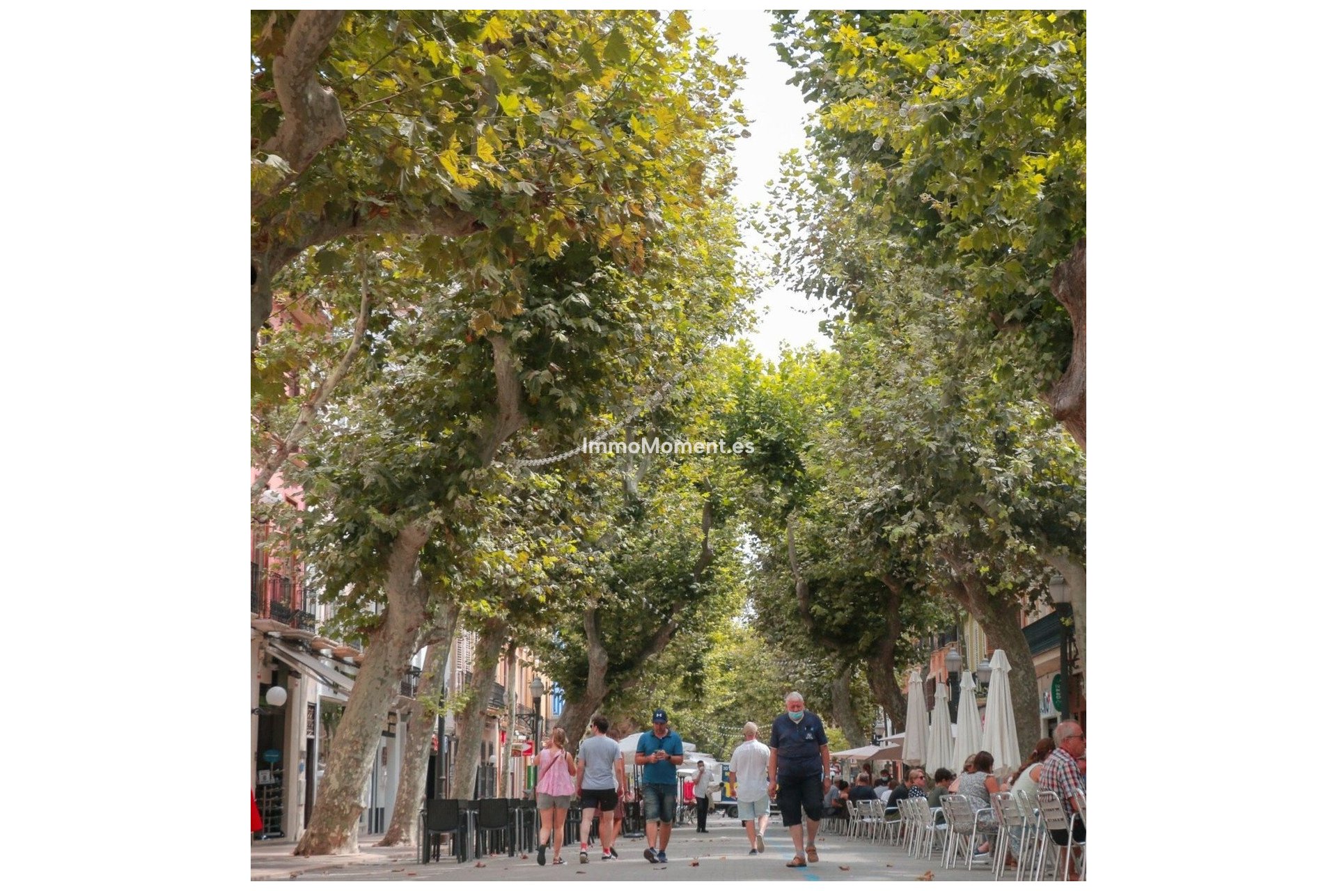 Neubau - Villa - Vergel - Vergel (El Vergel) - El Verger Centro