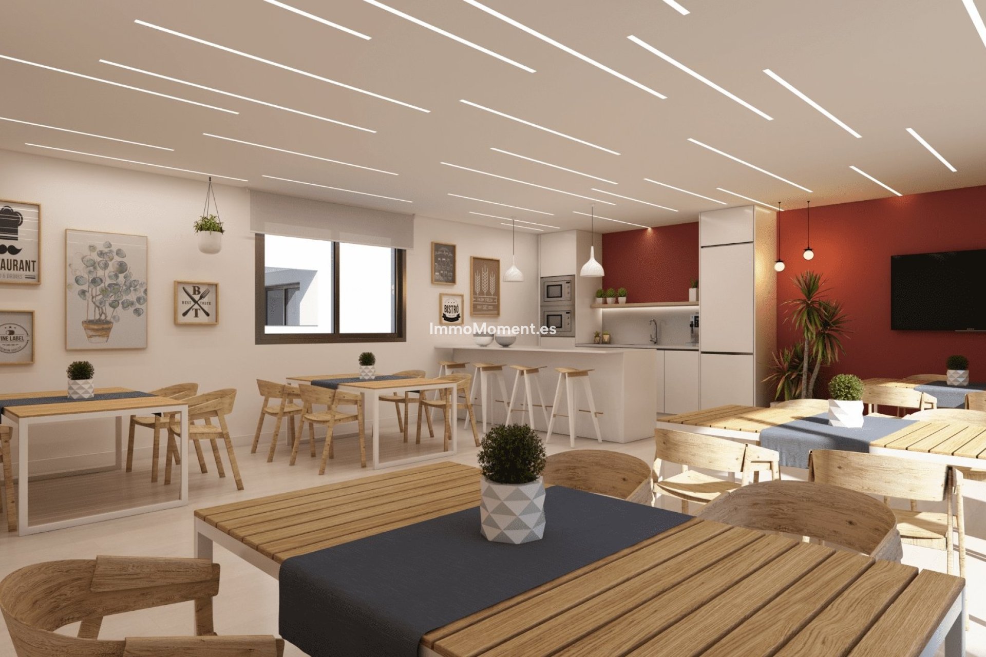 Neubau - Wohnung - Casares
