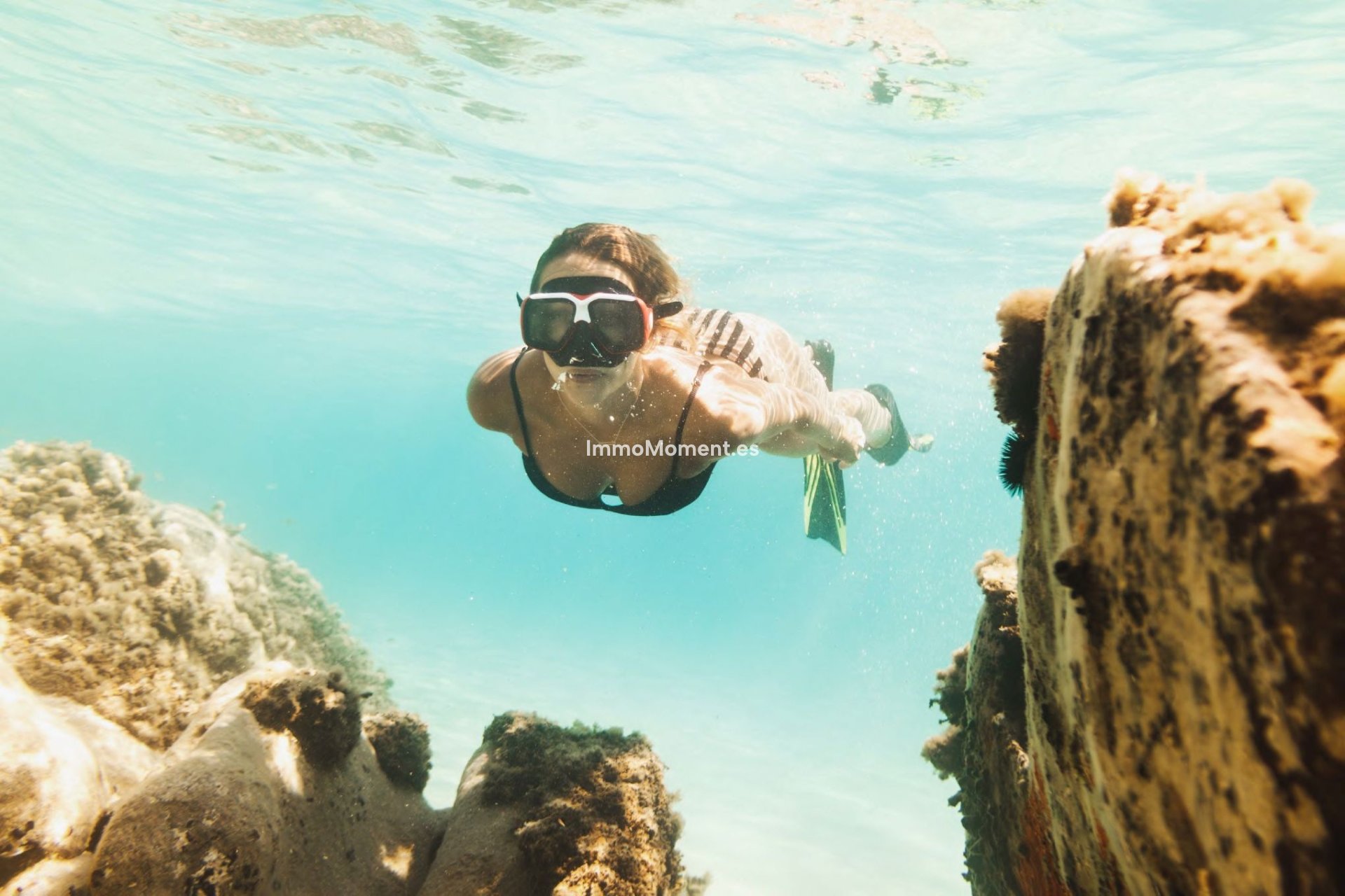 Neubau - Wohnung - La Manga del Mar Menor