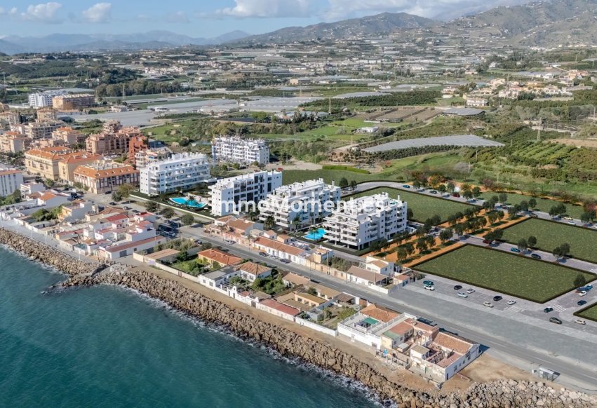 Neubau - Wohnung - Málaga Este