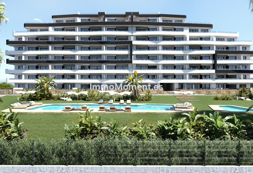 Neubau - Wohnung - San Miguel de Salinas