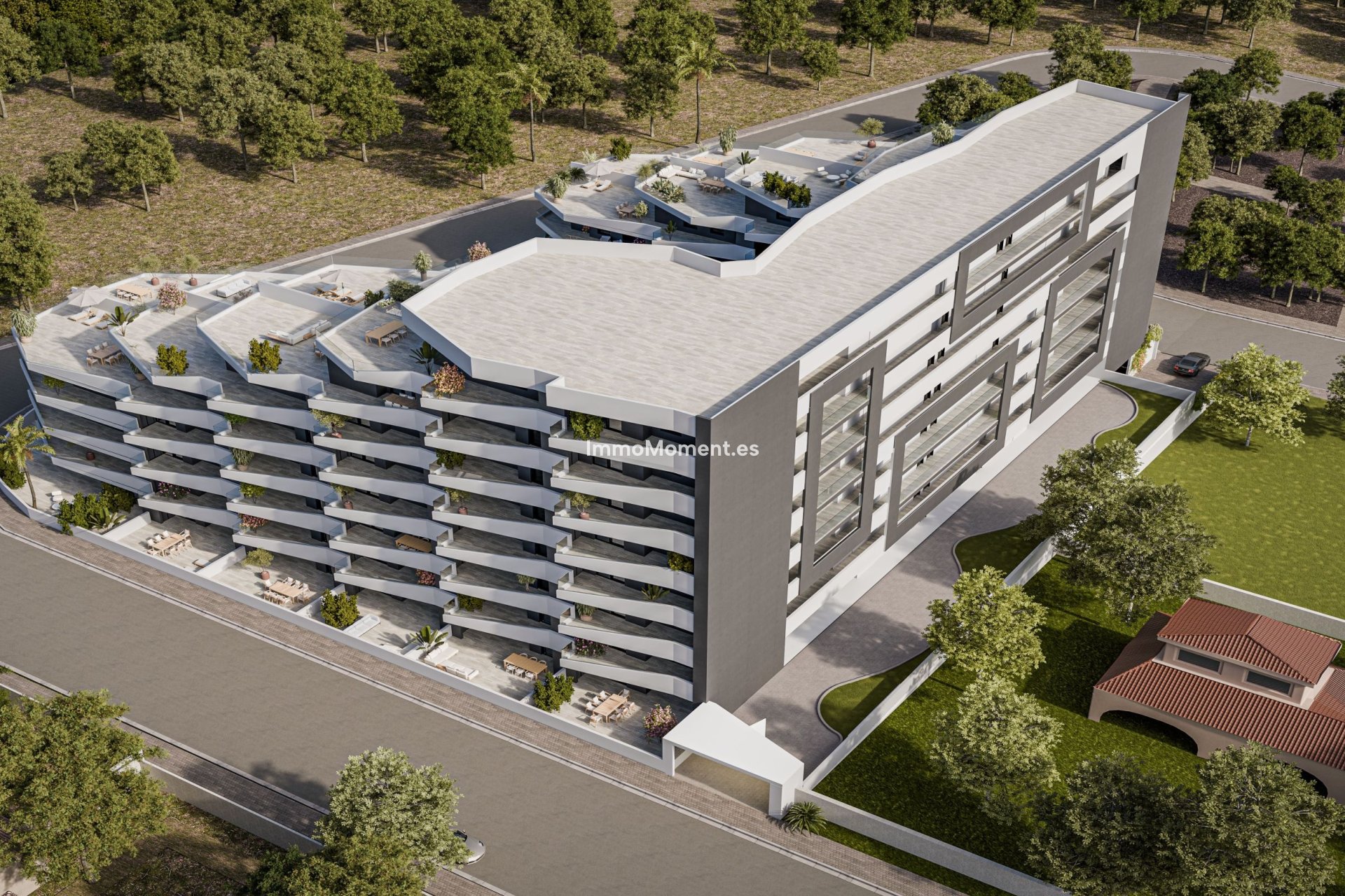 Neubau - Wohnung - San Miguel de Salinas