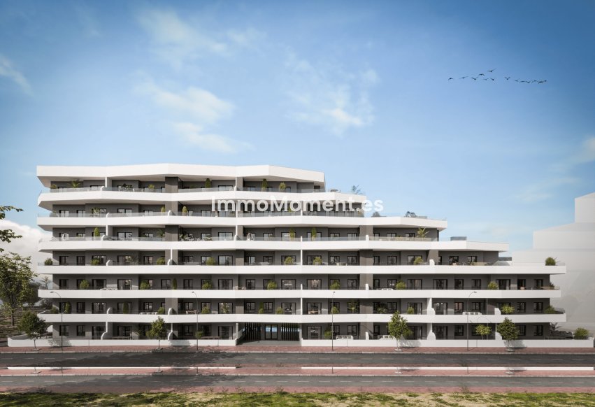 Neubau - Wohnung - San Miguel de Salinas