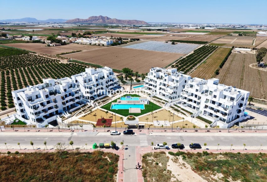 Neubau - Wohnung - Santa Rosalía