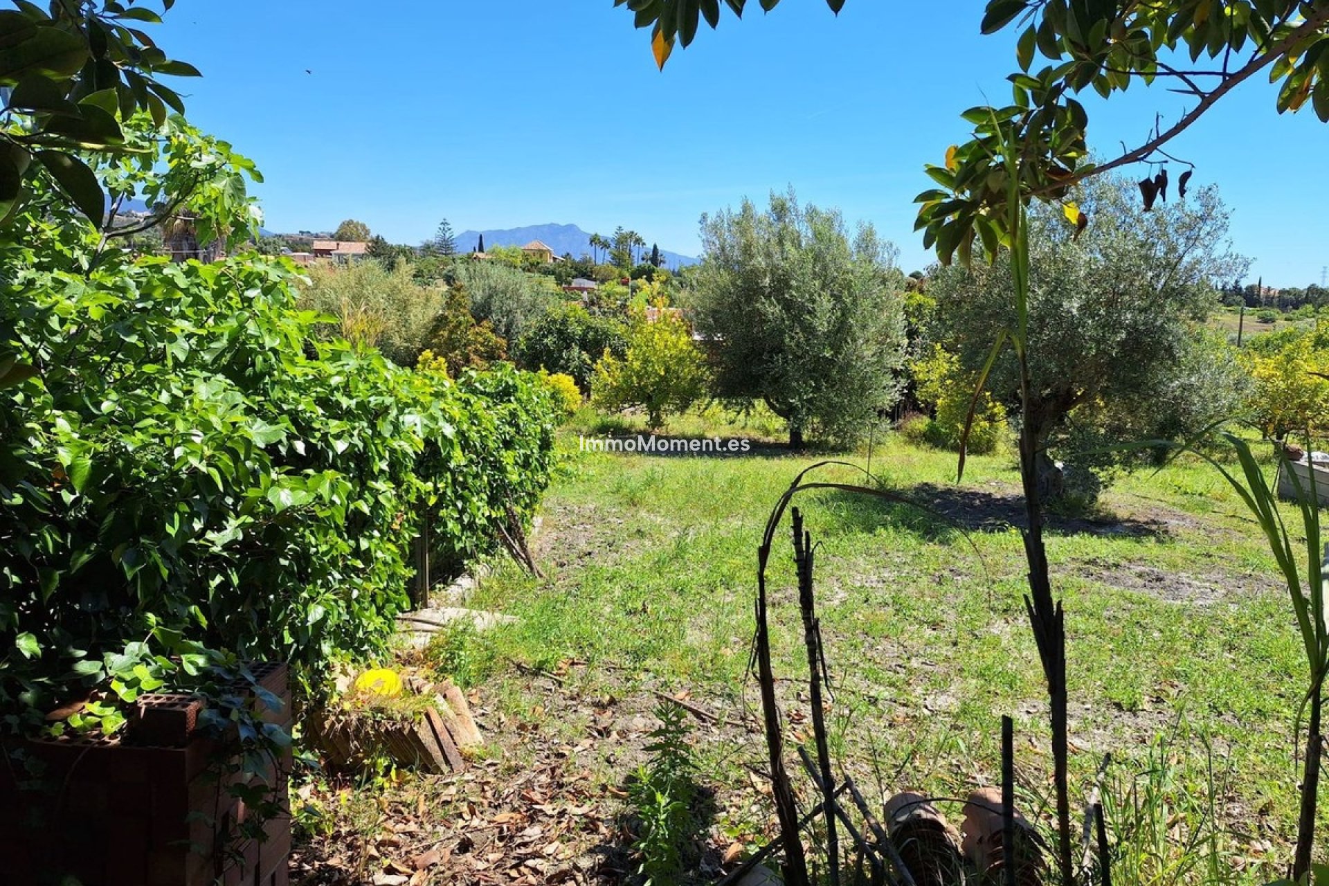 New Build - Country house - Estepona - Estepona Centro