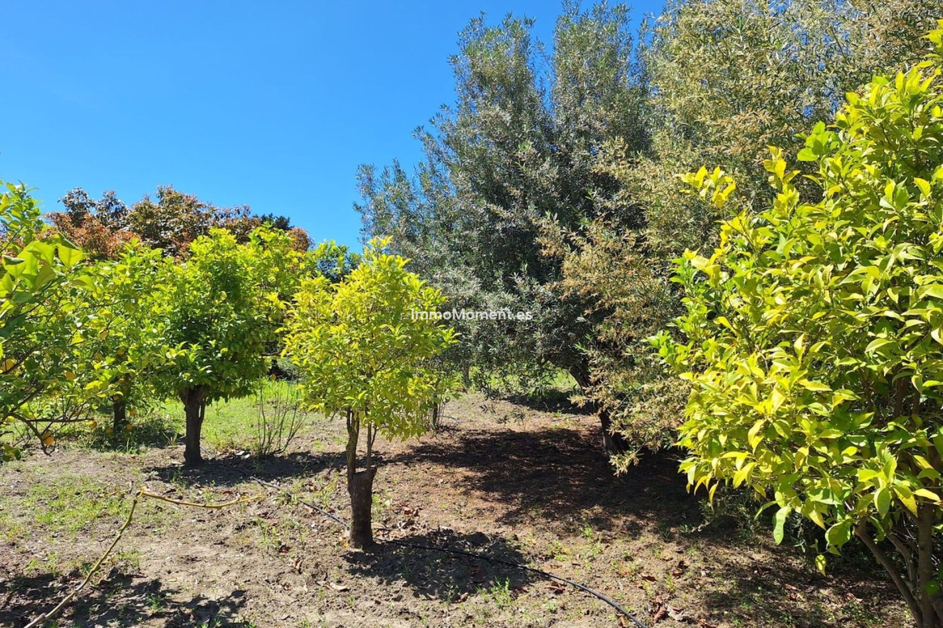 New Build - Country house - Estepona - Estepona Centro