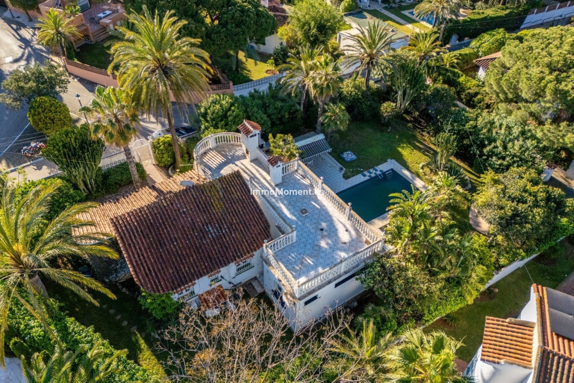 New Build - Detached villa - Marbella - Marbesa