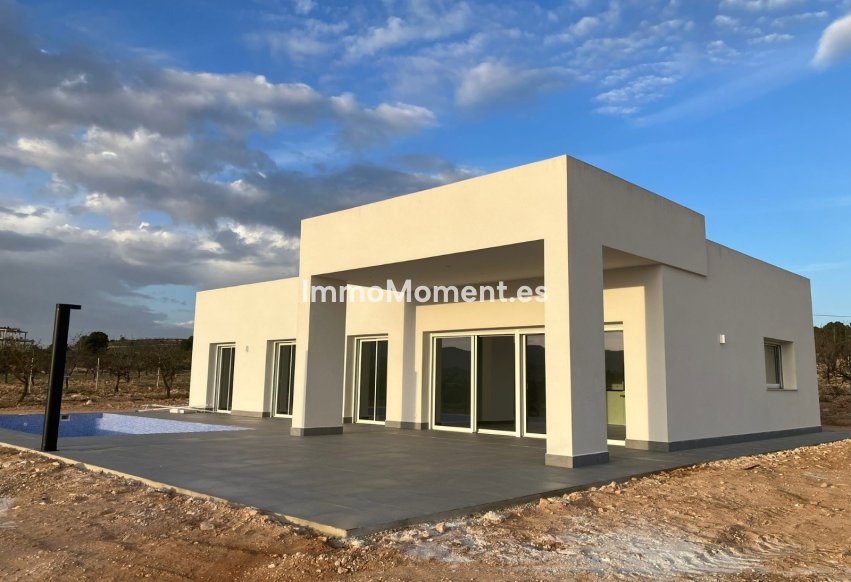 New Build - Detached villa - Pinoso