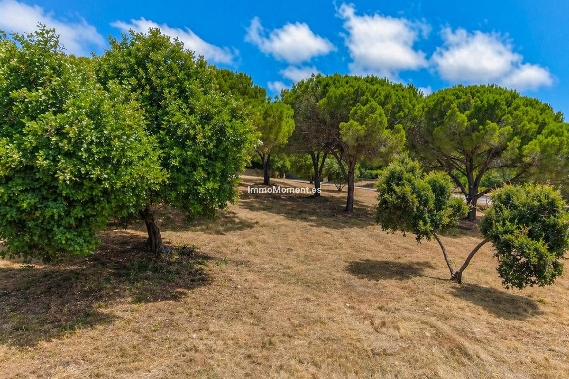 New Build - Plot - Sotogrande - Sotogrande Alto