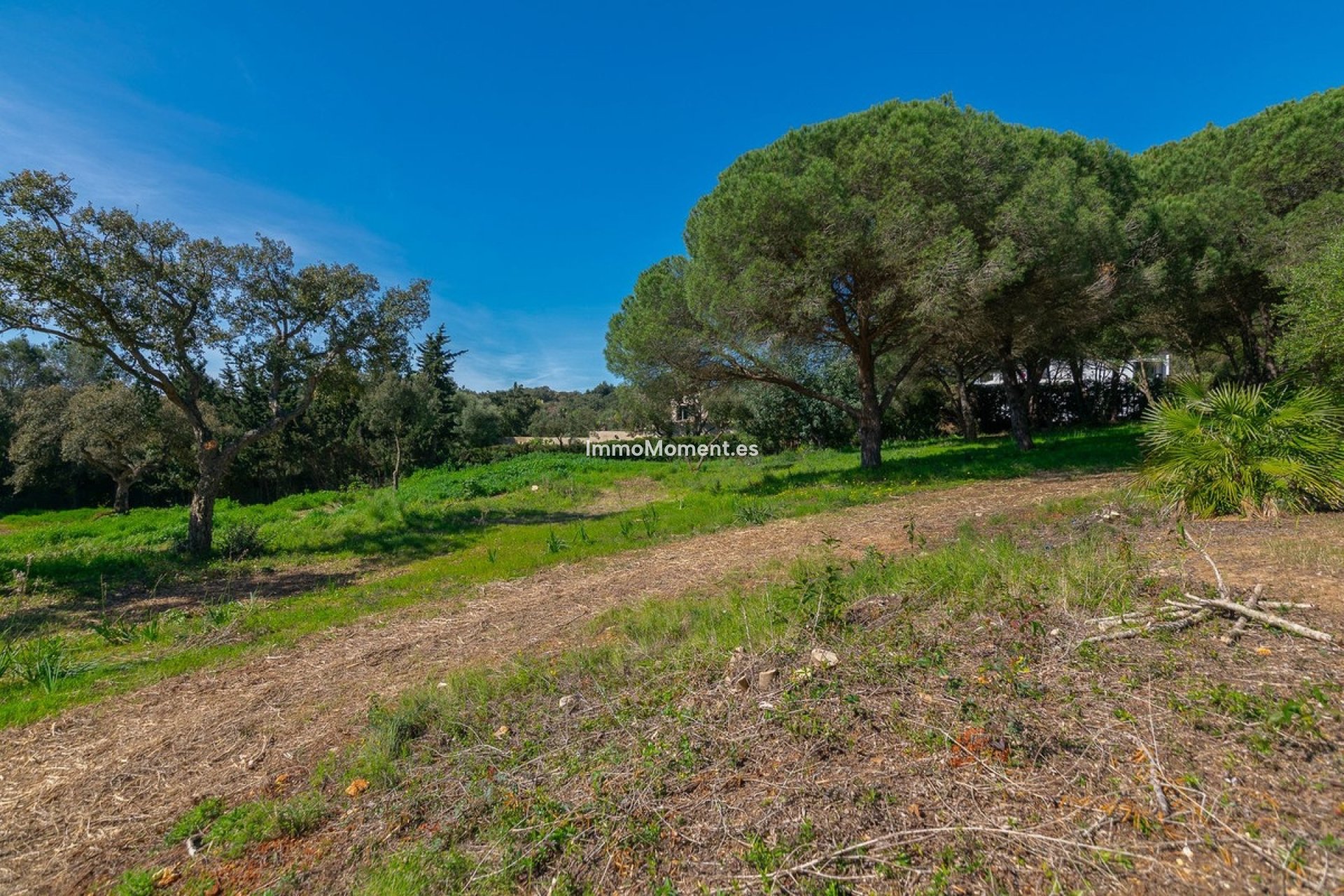 New Build - Plot - Sotogrande - Sotogrande Alto