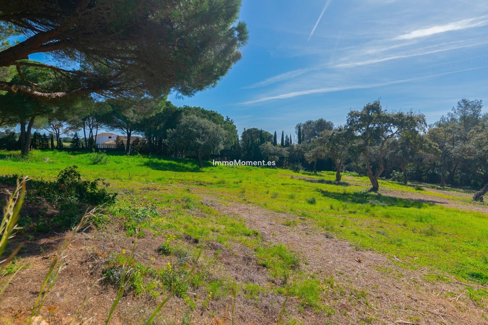 New Build - Plot - Sotogrande - Sotogrande Alto