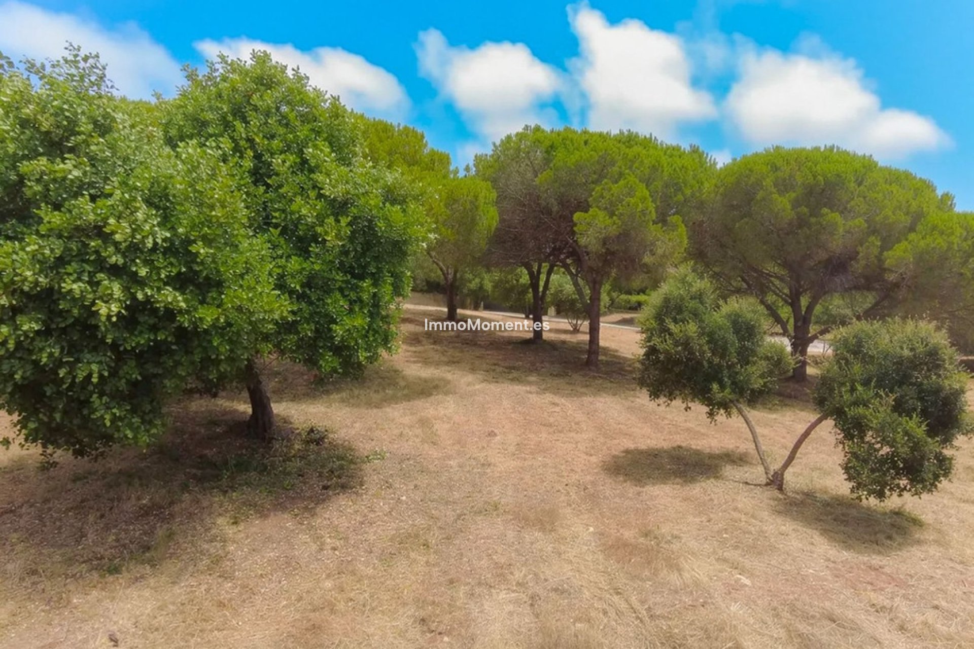 Nieuwbouw - Grond - Sotogrande - Sotogrande Alto