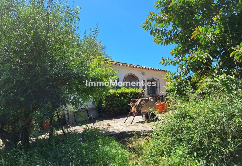 Nieuwbouw - Landhuis - Estepona  - Estepona Centro