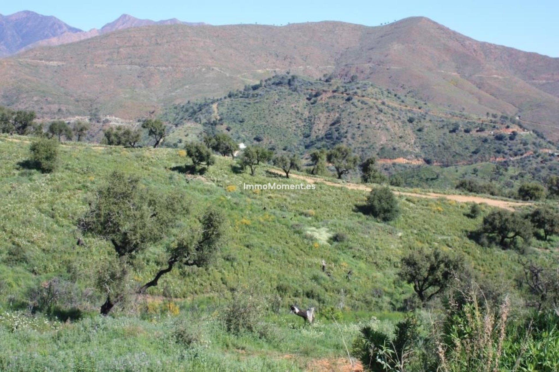 Nieuwbouw - Perceel - Marbella - La Mairena