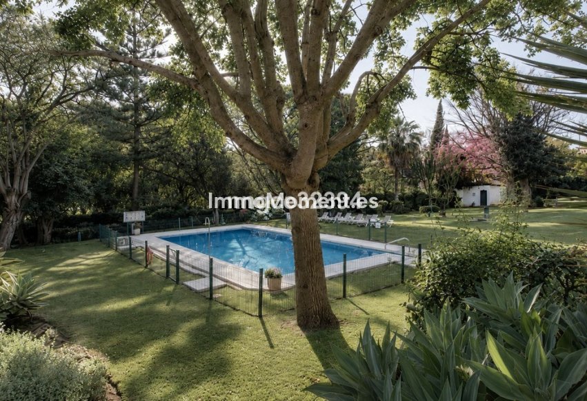 Nieuwbouw - Rijtjeshuis - Marbella - Nueva Andalucía