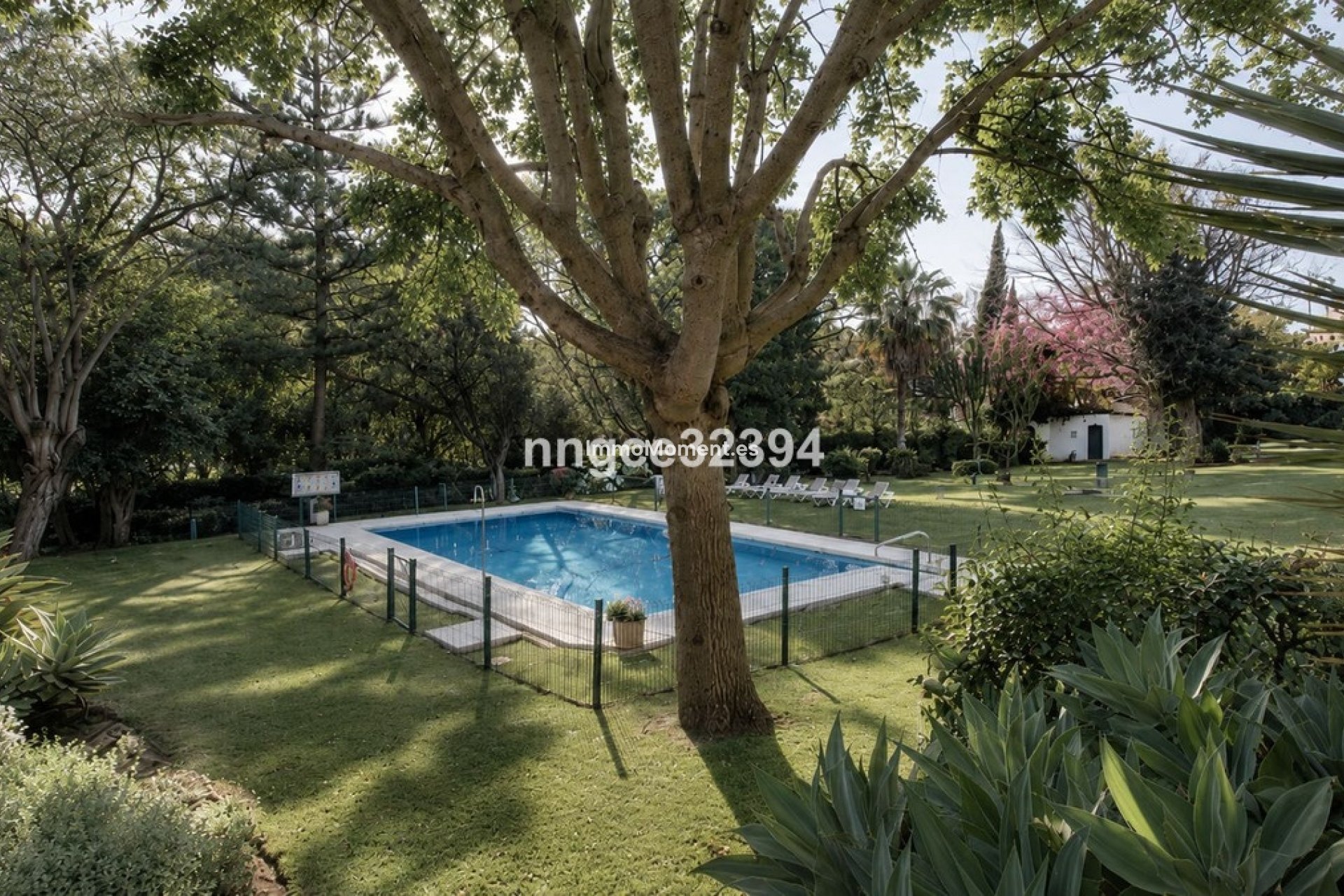 Obra nueva - Adosado - Marbella - Nueva Andalucía
