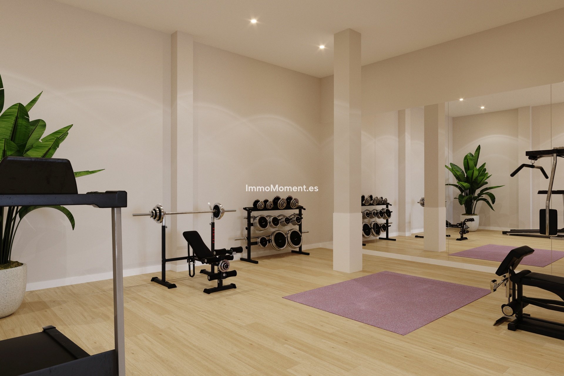 Obra nueva - Apartamento - Algorfa