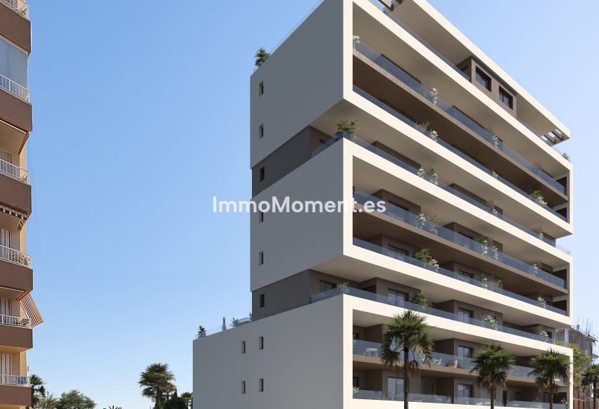 Obra nueva - Apartamento - Guardamar del Segura