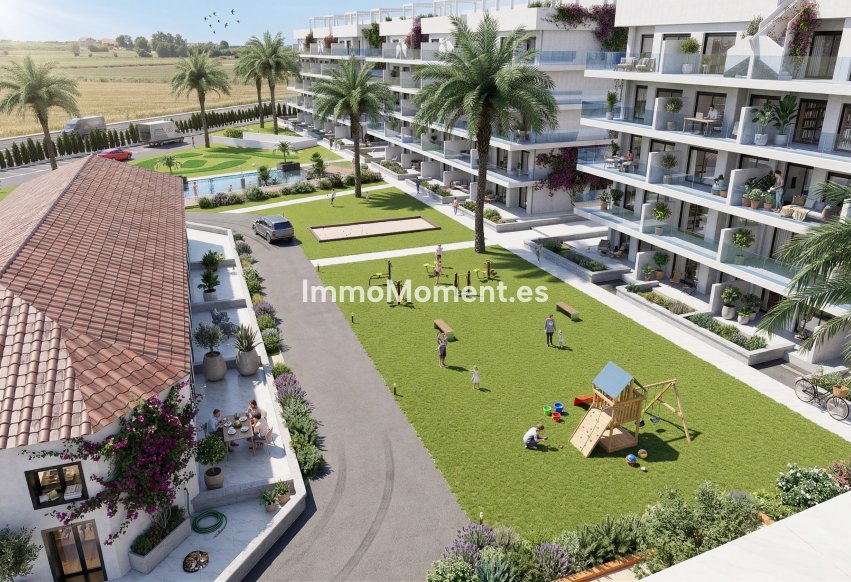 Obra nueva - Apartamento - Guardamar del Segura