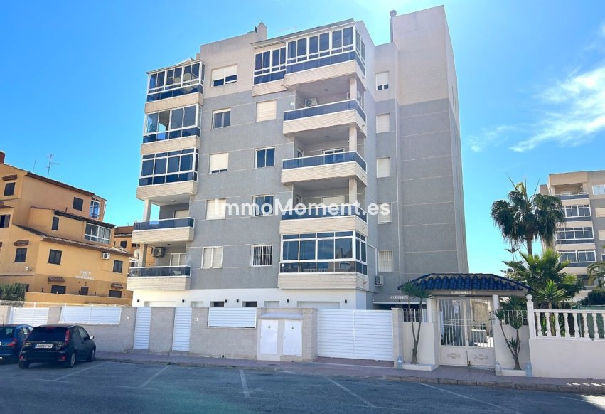 Obra nueva - Apartamento - Torrevieja