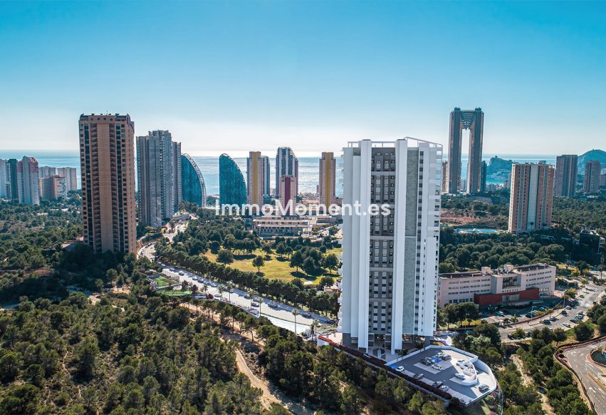 Obra nueva - Ático - Benidorm