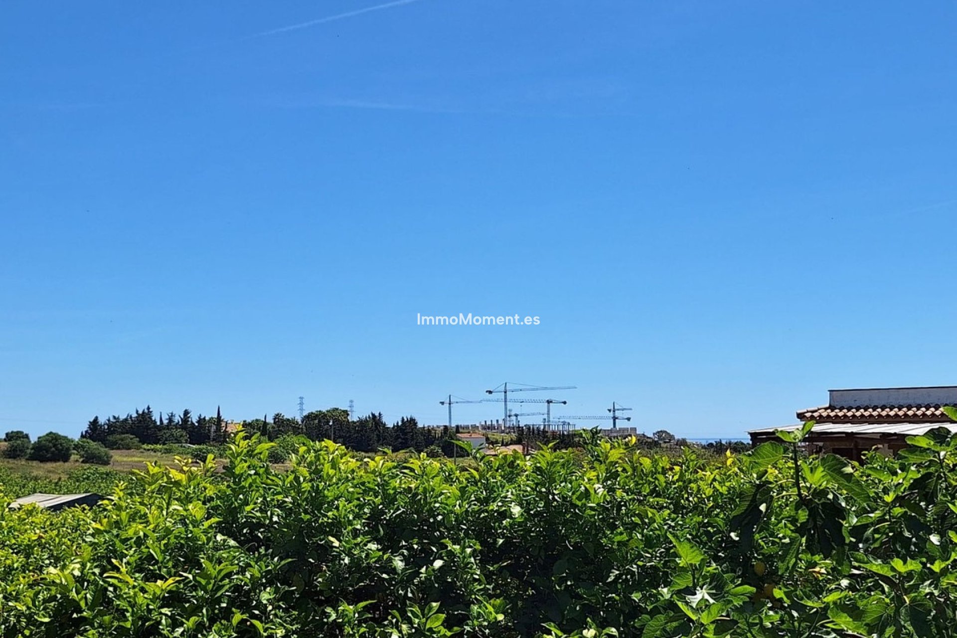 Obra nueva - Casa de campo - Estepona  - Estepona Centro