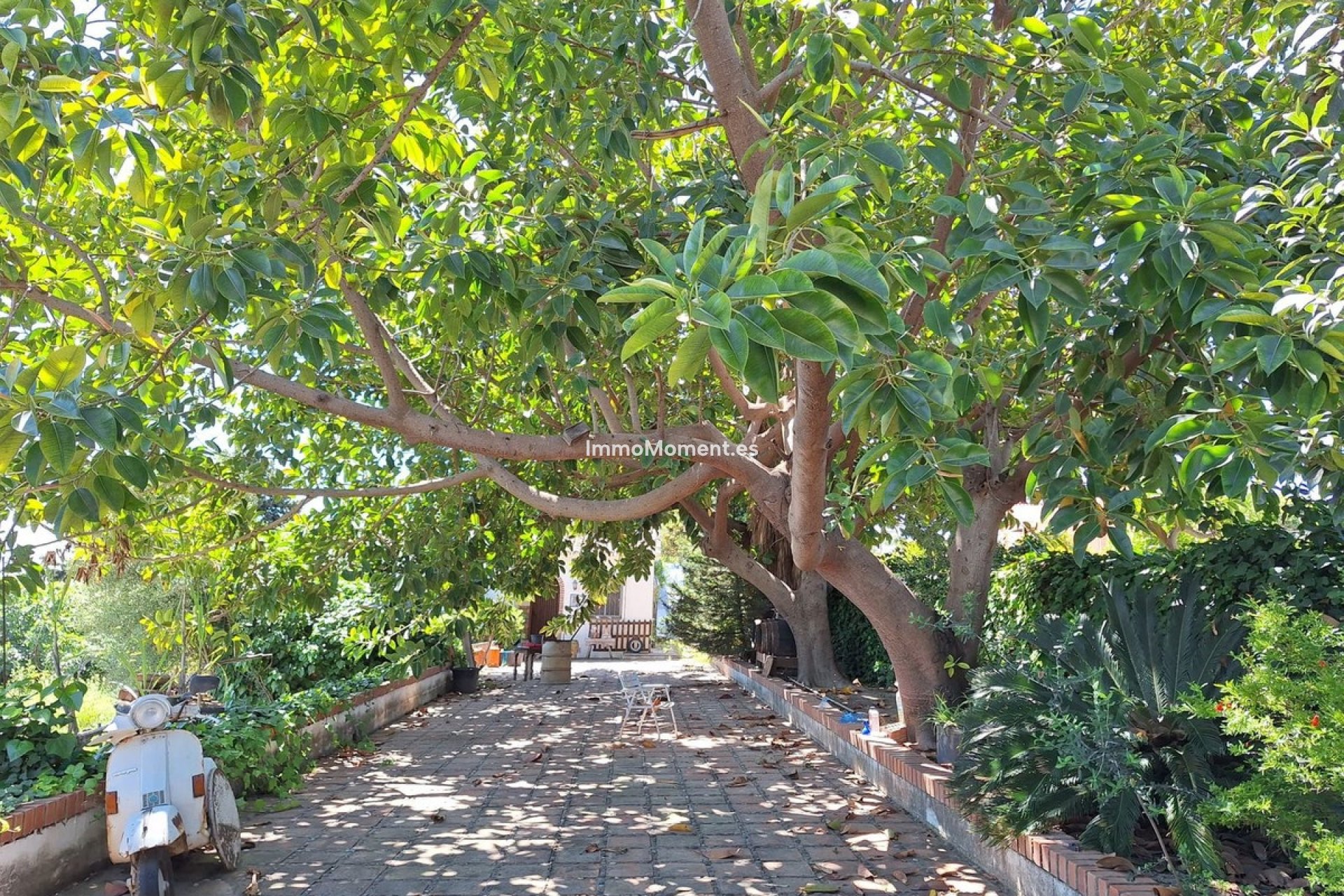 Obra nueva - Casa de campo - Estepona  - Estepona Centro