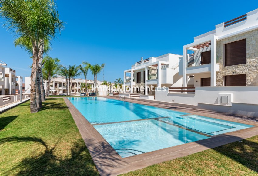 Obra nueva - High-bungalow - Torrevieja