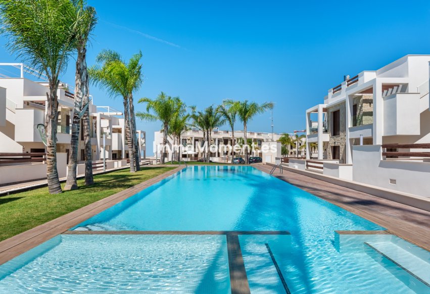 Obra nueva - Low-bungalow - Torrevieja