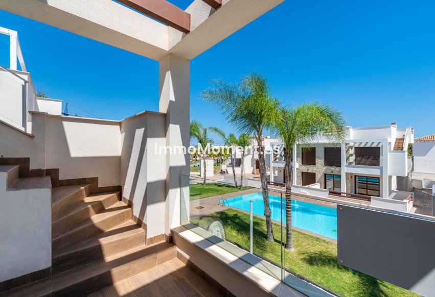 Obra nueva - Low-bungalow - Torrevieja