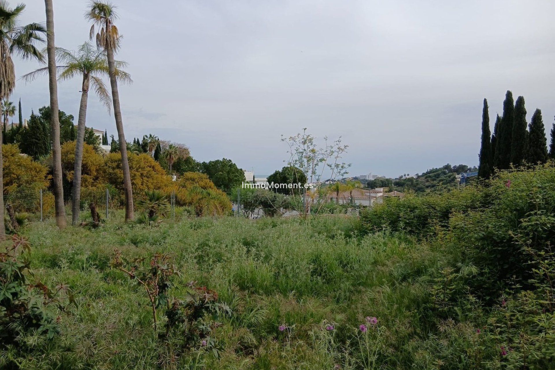 Obra nueva - Parcela - Benahavís - Benahavís Centro