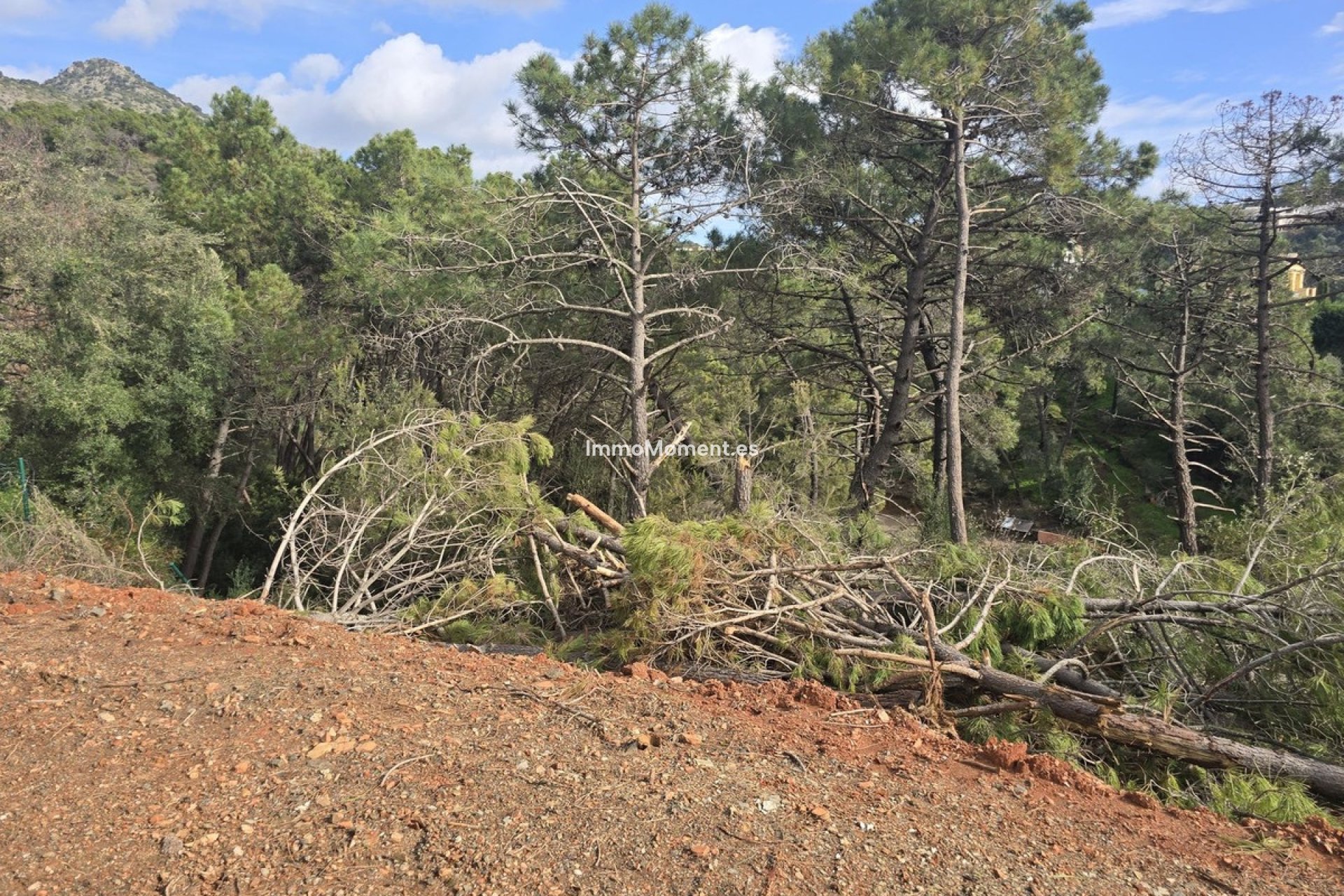 Obra nueva - Parcela - Benahavís - Benahavís Centro