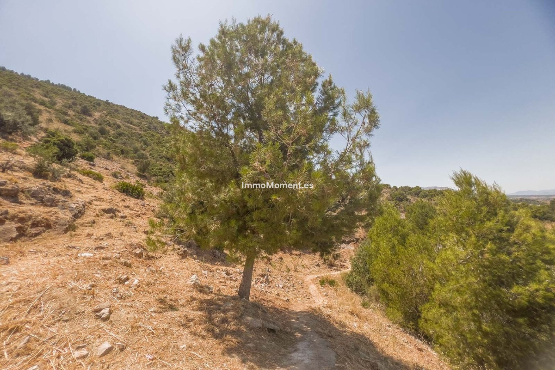 Obra nueva - Parcela - Interior  - Alhaurín de la Torre
