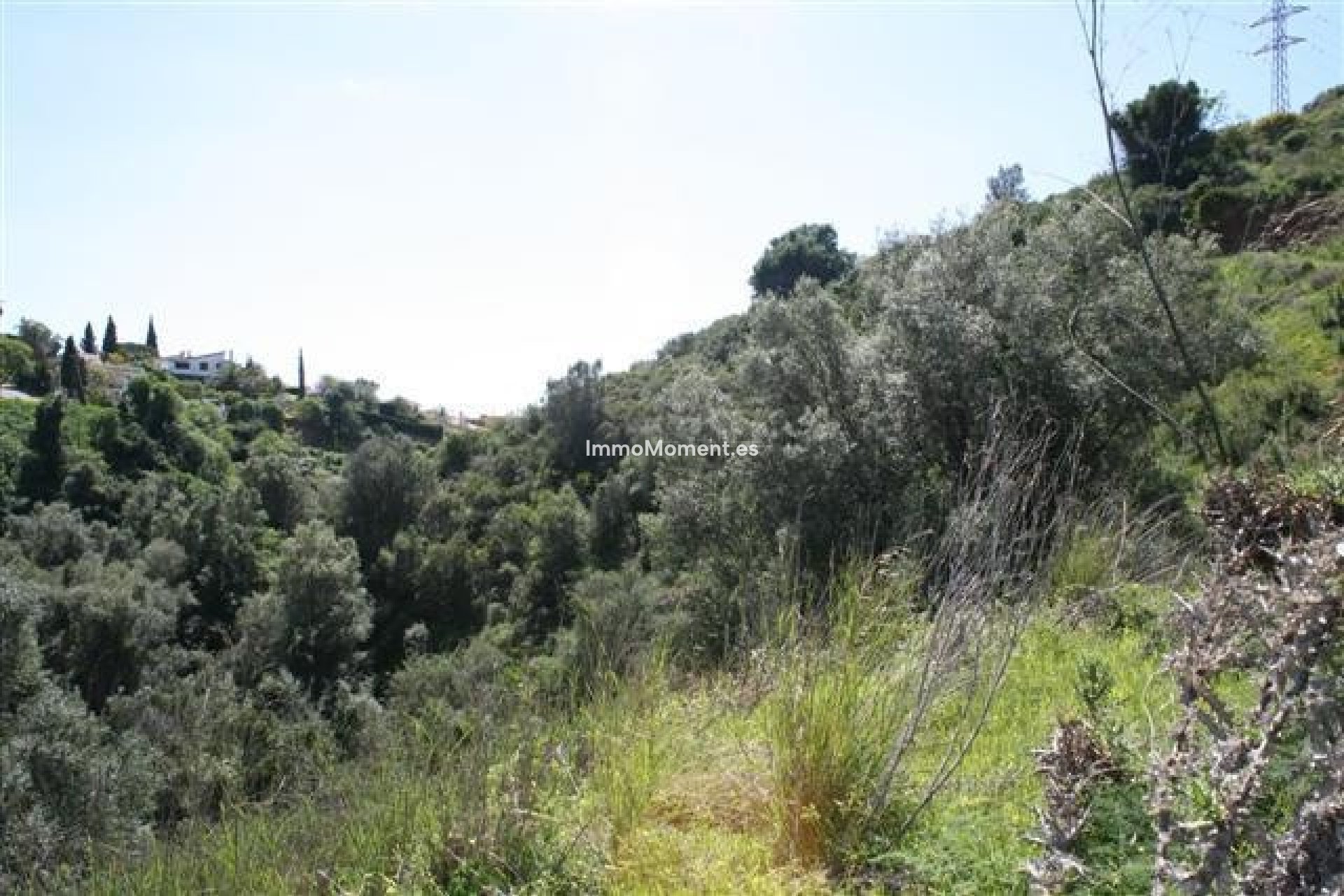 Obra nueva - Parcela - Marbella - El Rosario