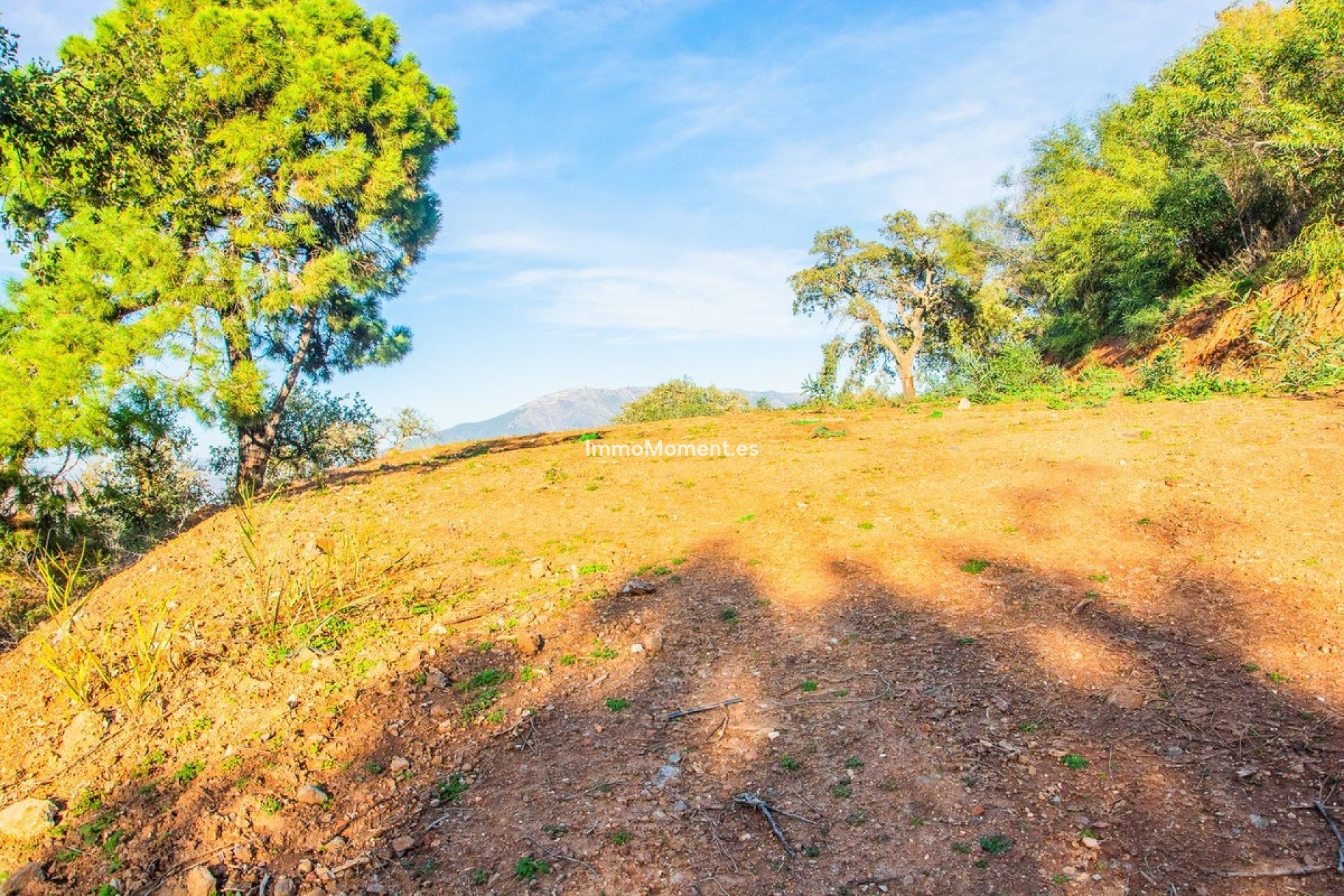 Obra nueva - Parcela - Marbella - La Mairena