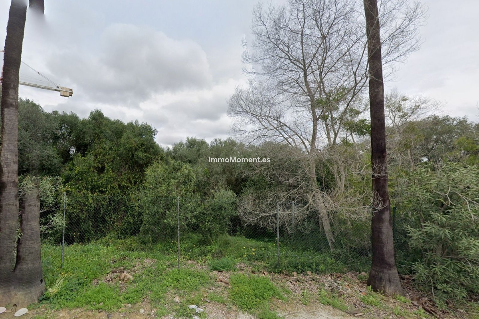 Obra nueva - Parcela - Sotogrande - Sotogrande Alto