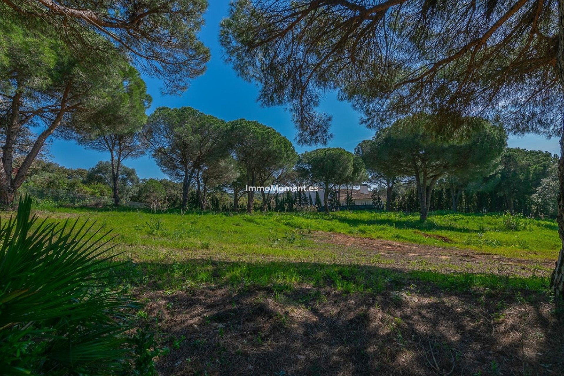 Obra nueva - Parcela - Sotogrande - Sotogrande Alto
