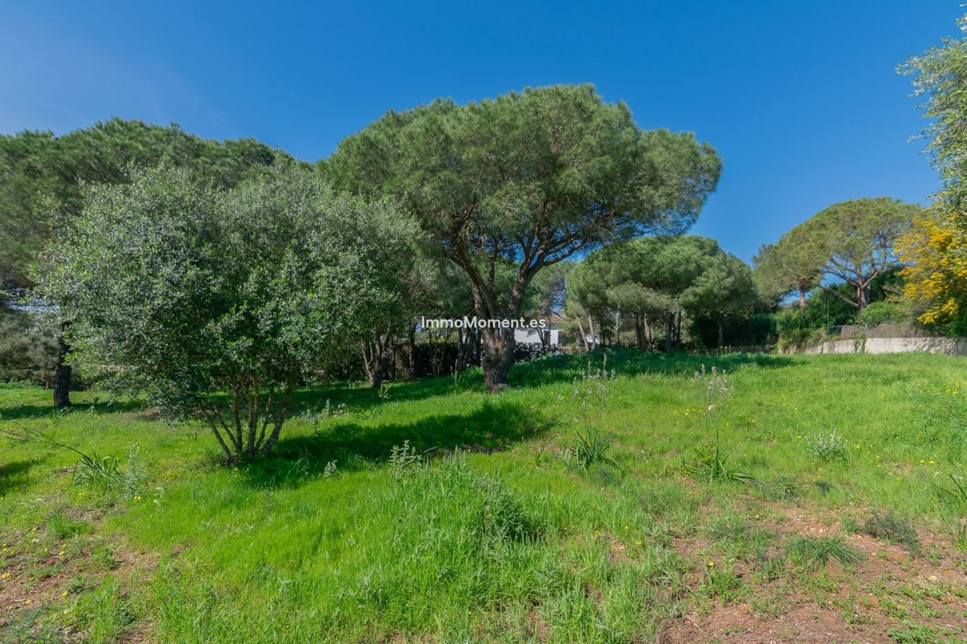 Obra nueva - Parcela - Sotogrande - Sotogrande Alto