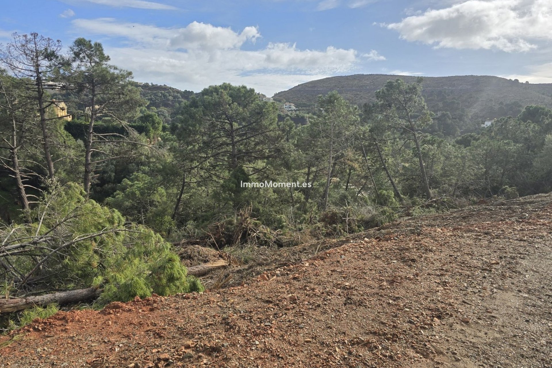 Obra nueva - Terreno - Benahavís - Benahavís Centro