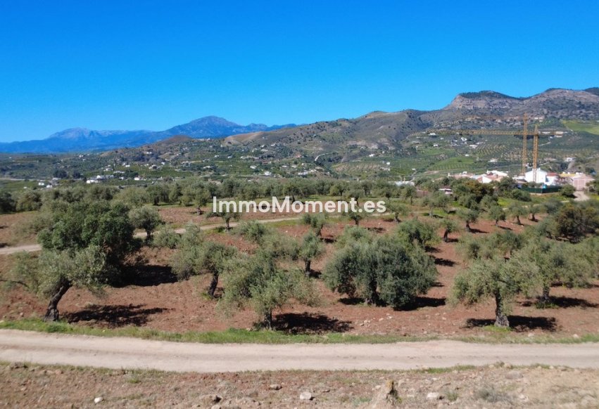 Obra nueva - Terreno - Interior  - Alora