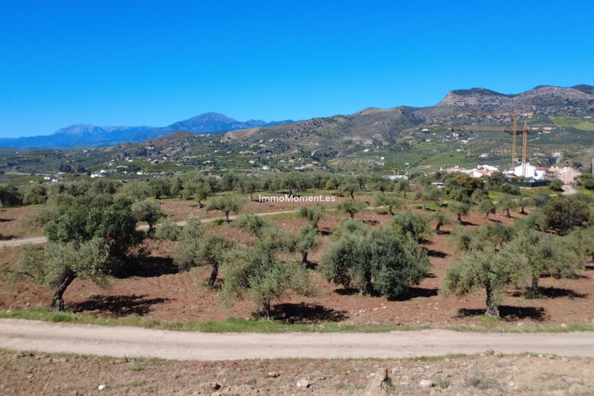Obra nueva - Terreno - Interior  - Alora