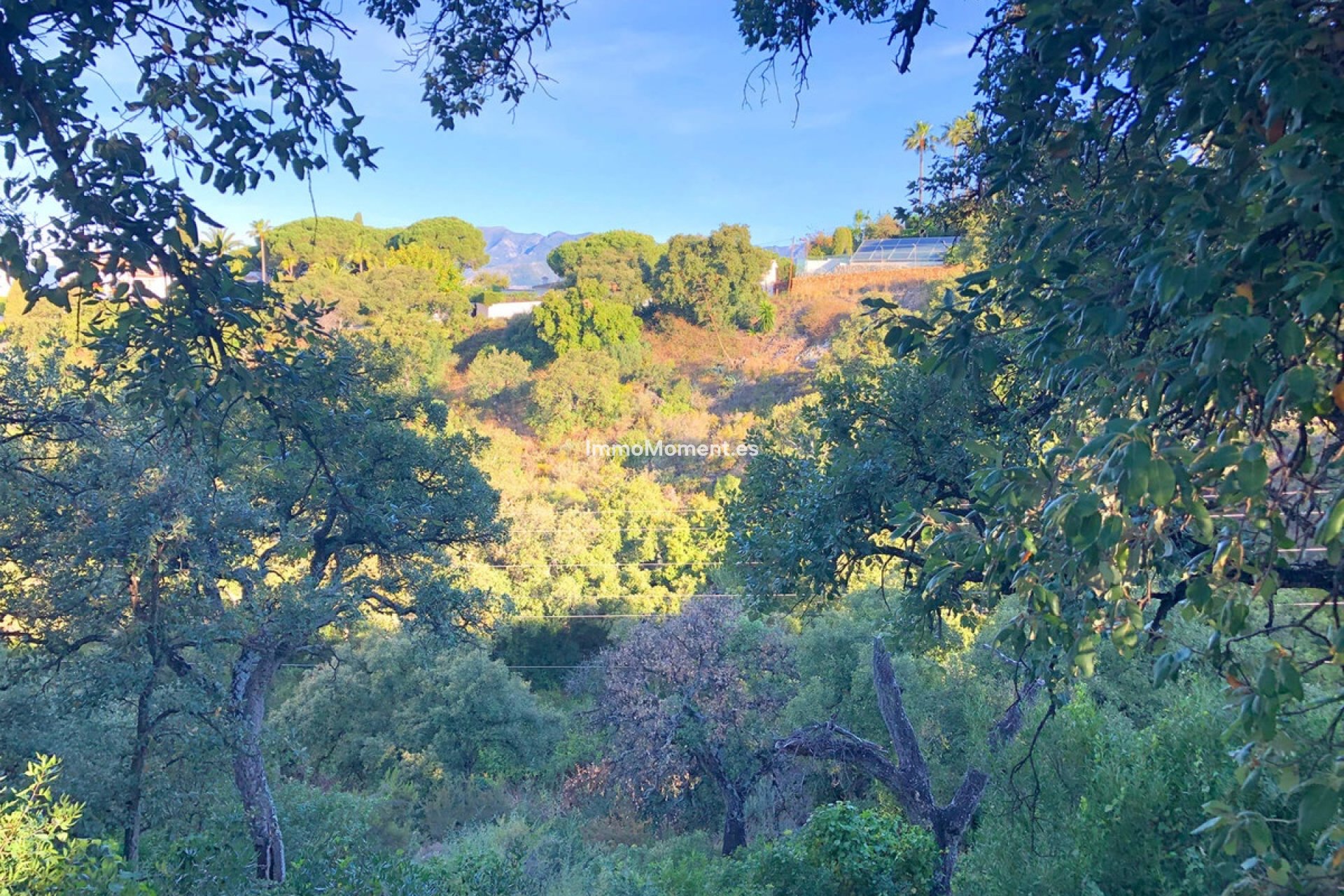 Obra nueva - Terreno - Marbella - Elviria