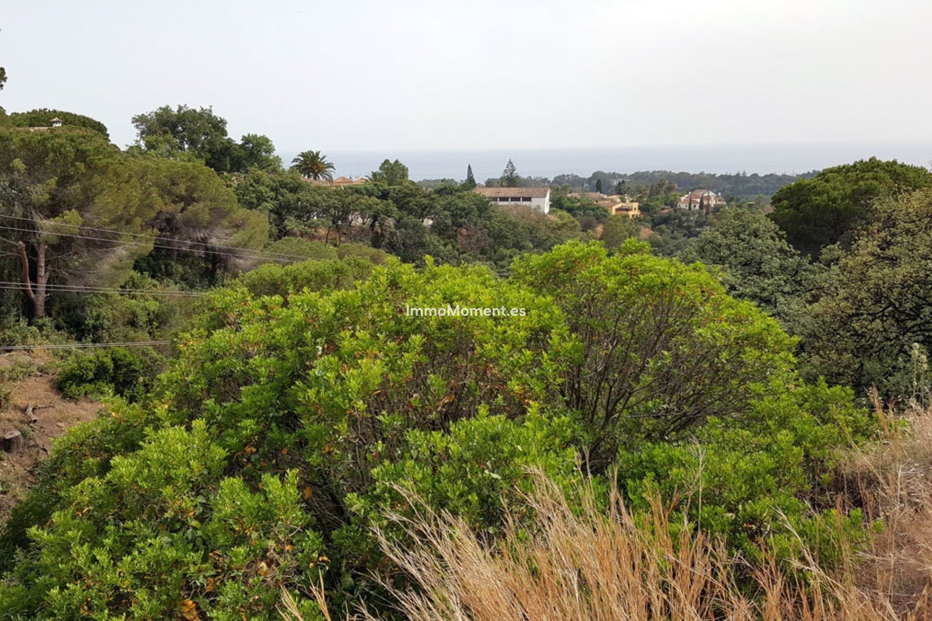 Obra nueva - Terreno - Marbella