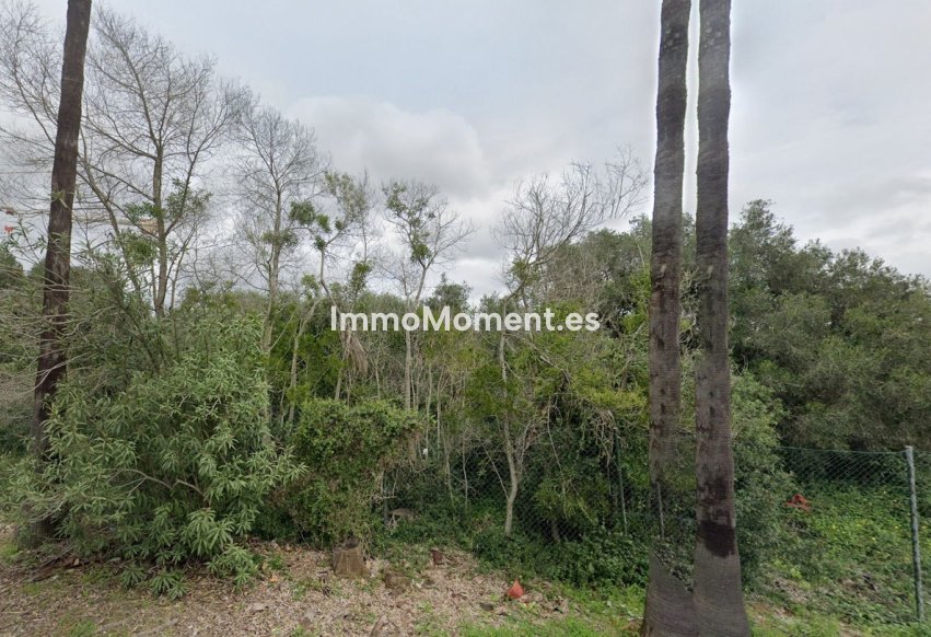 Obra nueva - Terreno - Sotogrande - Sotogrande Alto