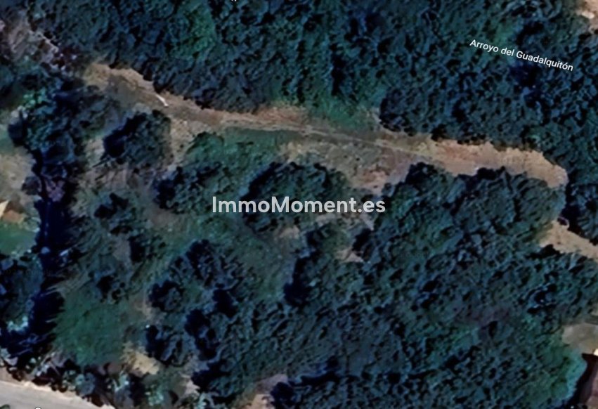 Obra nueva - Terreno - Sotogrande - Sotogrande Alto